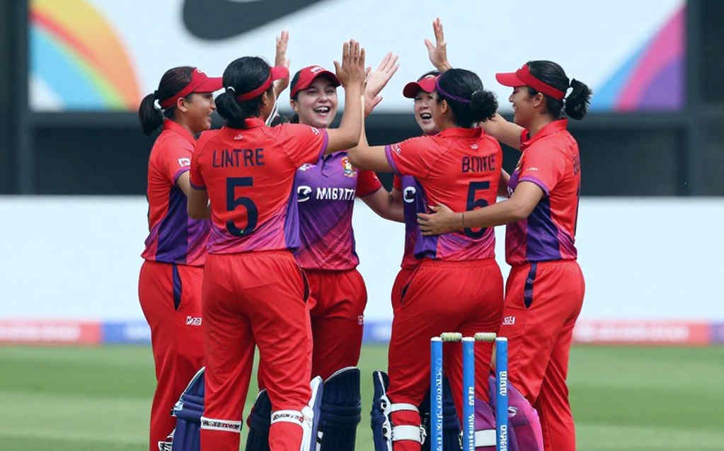 ডট বলের নীরবতা: রাজশাহীর ছাদ থেকে বিশ্বকাপের ডেটা-টেবিল পর্যন্ত